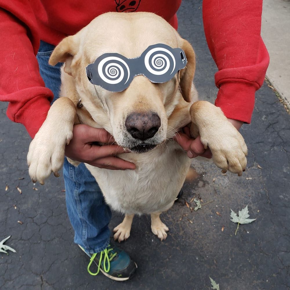 Meet your Posher, Sandy